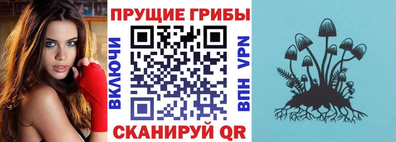 Купить  Ковров  Галлюциногенные грибы Magic Shrooms 